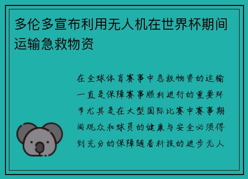 多伦多宣布利用无人机在世界杯期间运输急救物资 多伦多宣布利用无人机在世界杯期间运输急救物资